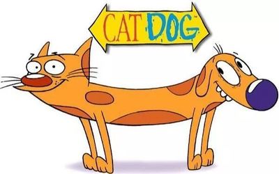 活動預(yù)告 | 今夜是誰流下了時代的眼淚 #動畫創(chuàng)作與研究協(xié)會 綜藝節(jié)目